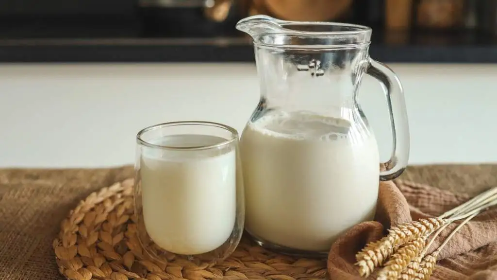 Молочні продукти: користь і шкода лактози для дорослих